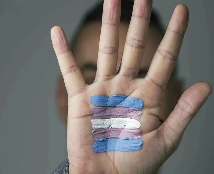 Tweede Kamer laat transgender mensen wéér in de steek: “gevaarlijk signaal” Transgender Netwerk
