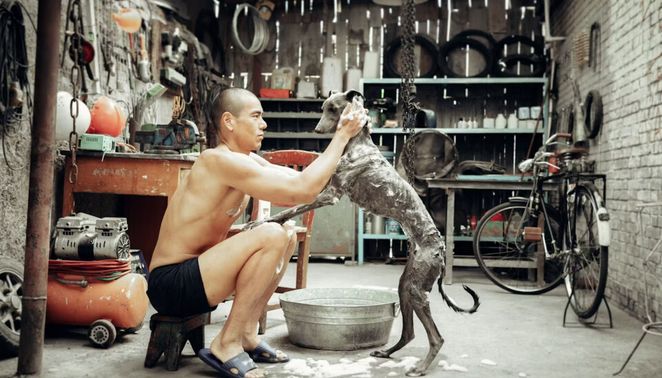 Hot op Instagram: Black Dog-acteur Eddie Peng Black Dog - Eddie Peng