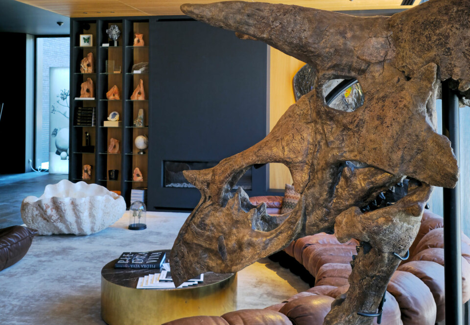 In de lobby waakt er een gigantische triceratops over de gasten. La Butte Aus Bois lobby