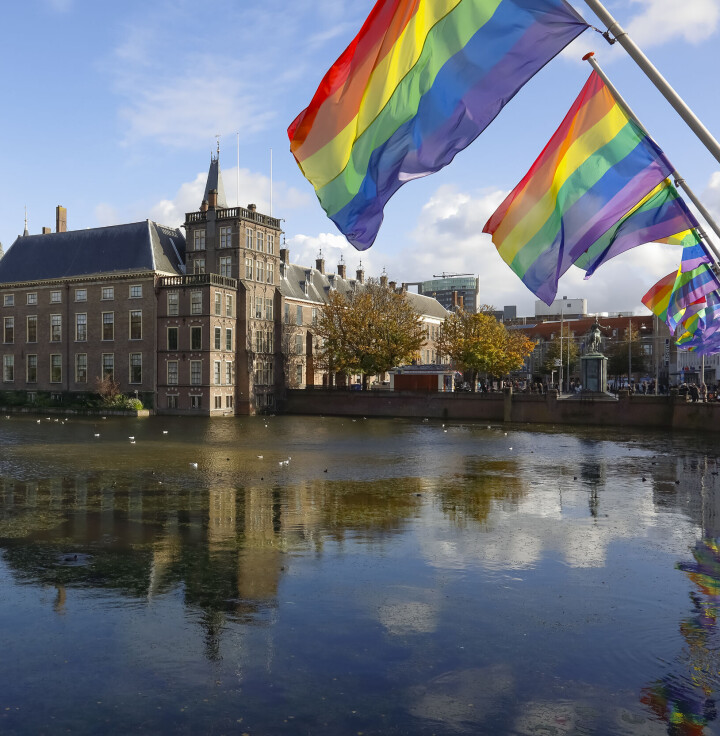 Regenboogvlaggen boven de Hofvijver in Den Haag. Regenboogvlaggen boven de Hofvijver in Den Haag.