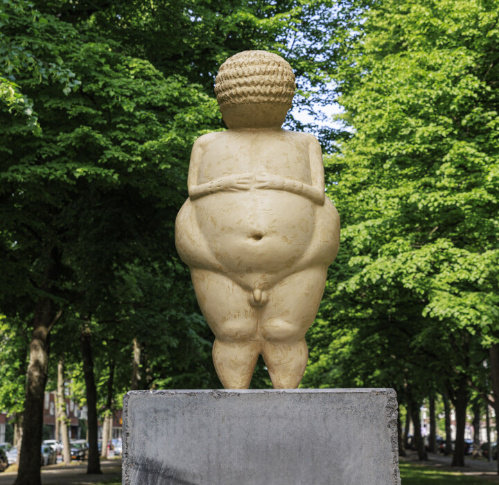 'Trans Mars von Willendorf' door Bastienne Kramer. Trans Mars von Willendorf door Bastienne Kramer.
