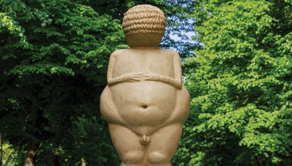 'Trans Mars von Willendorf' door Bastienne Kramer. 'Trans Mars von Willendorf' door Bastienne Kramer.