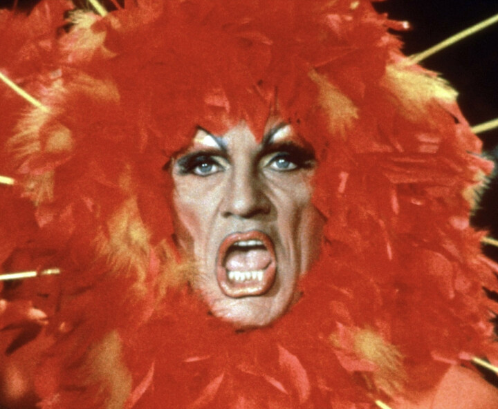 Lekkere muziek: dit zijn allerbeste liedjes uit Priscilla, Queen of the Desert