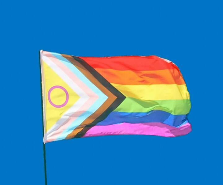 Queer Refugees wint Zaanse Regenboogprijs 2025 Vlag