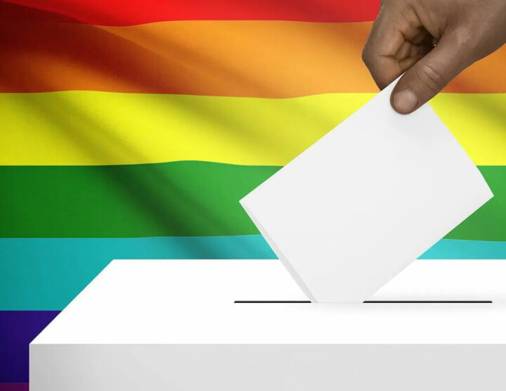 Op welke partij stem jij op 29 oktober? Ga naar de lhbtiq+ Kieswijzer op Rainbowvote.NU Verkiezingen
