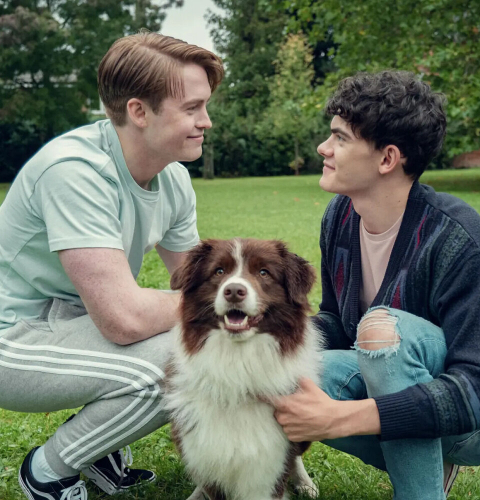 Er komt een Heartstopper-boek met vijftig persoonlijke verhalen van kijkers die geraakt werden door de serie