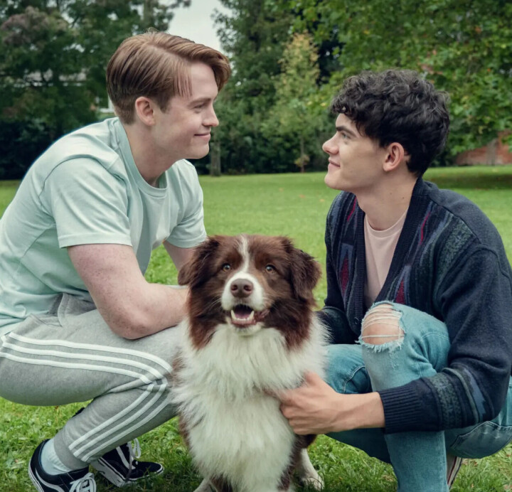 Er komt een Heartstopper-boek met vijftig persoonlijke verhalen van kijkers die geraakt werden door de serie Heartstopper
