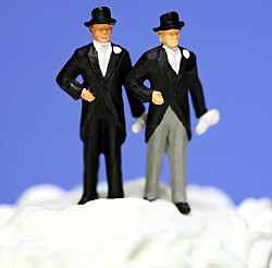 Hooggerechtshof in Texas beslist: beambte mag huwelijksvoltrekking tussen mensen van hetzelfde geslacht weigeren op basis van geloof