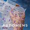 Bieke - Abdomens