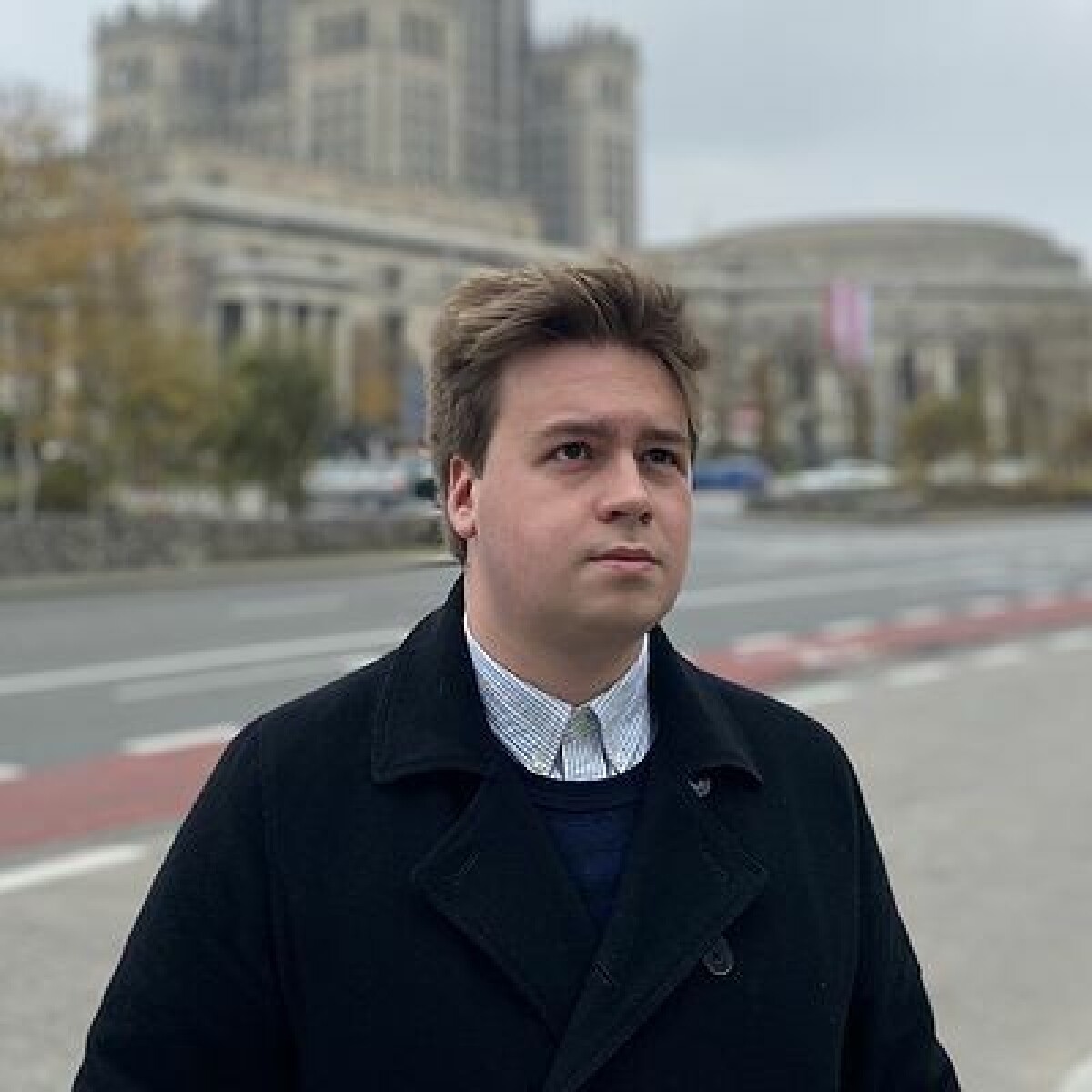 Yumshoq qollar partiyasi